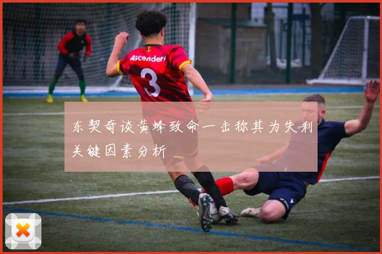 东契奇谈黄蜂致命一击称其为失利关键因素分析